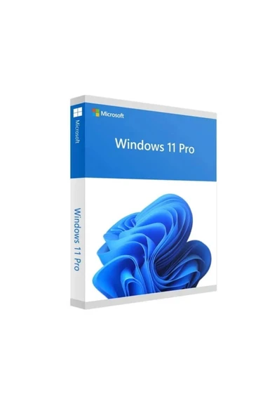 Windows 11 Pro