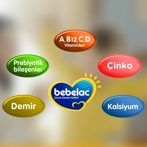 Bebelac Bebek Devam Sütü No4 250gr - 6