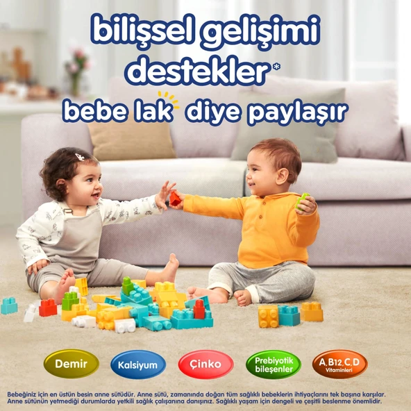 Bebelac Bebek Devam Sütü No4 250gr - 7