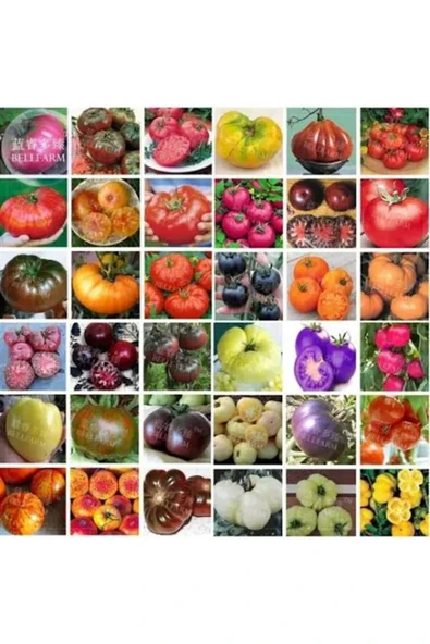Tarımsal ve Hayvansal Ürünler 25 Adet Karışık Cinste Domates Tohumu