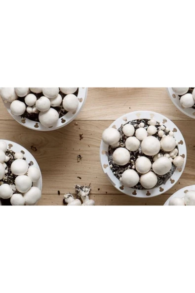 TohumGübre 20 Litre Ekim Torfu Ve 2000 Adet Kültür Mantarı Tohumu Ile Eğitim Kılavuzu - Resim 2