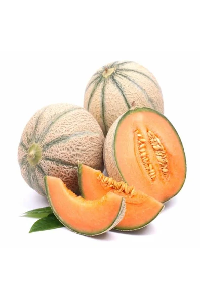 TohumGübre 2000 Adet Karışık Cinste Köylü Kavunu Ata Tohumu - Resim 4