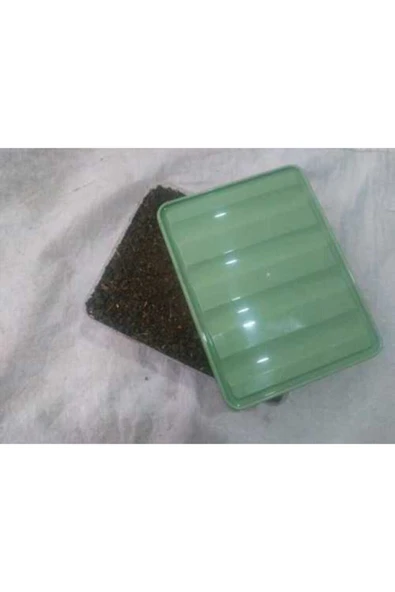 TohumGübre Beyaz Şapkalı Kültür Mantarı Tohumu Ekili Kutu Ve Yönerge - Resim 2