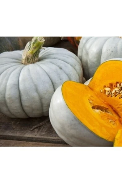 TohumGübre 1 Adet Dev Kestane Bal Kabağı Tohumu - 2