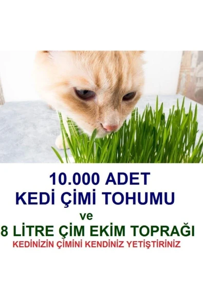 TohumGübre 10.000 Adet Kedi Çimi Tohumu Ve 8 Litre Kedi Çimi Ekim Torfu