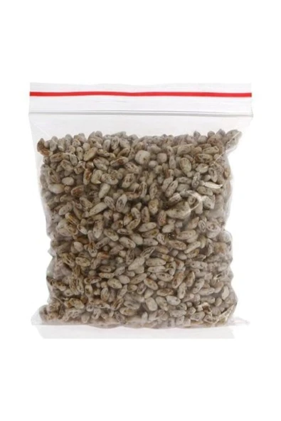 TohumGübre Eğitim Kılavuzu Ve Ekim Poşeti Hediyeli 2000 Adet Istiridye Kavak Kayın Mantarı Tohumu ürün görseli