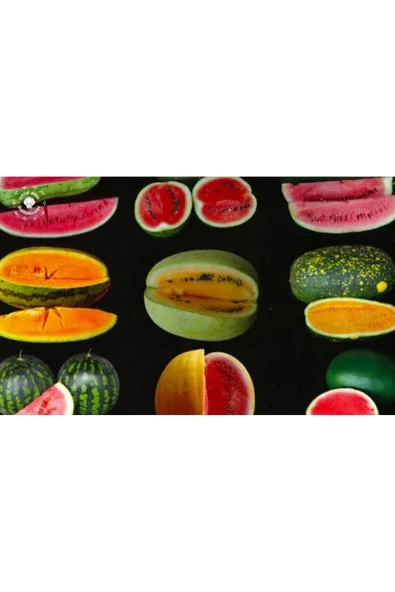 TohumGübre 300 Adet Ata Karpuzu Tohumu - Resim 4