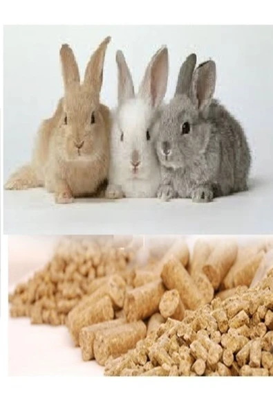 Kaliteli Tavşan Hamster Kemirgen Yemi 1 Kg - Resim 2