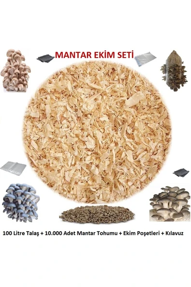 Tarımsal ve Hayvansal Ürünler İstiridye Mantarı Ekim Seti ürün görseli