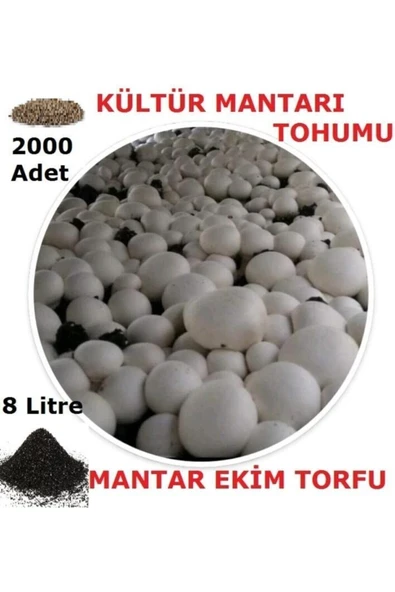 TohumGübre 2000 Adet Beyaz Şapkalı Kültür Mantarı Tohumu + 8 Litre Mantar Ekim Torfu Ve Mantar Ekim Yönergesi - 2