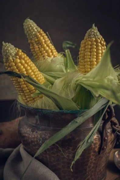 Total Tarım Mısır Tohumu 100 Adet - Resim 2