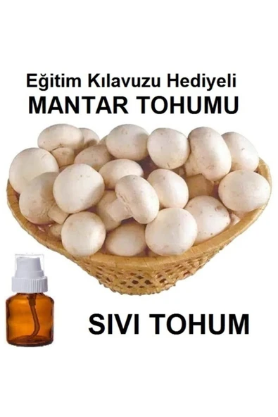 TohumGübre 100 ml Kültür Mantarı Tohumu