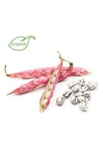 Köy Tohumları 60 Adet Tohum Barbunya Sırık Fasulye Tohumu Sürpriz Hediye Tohum Yeni Mahsül Barbunya Tohumuludur ürün görseli