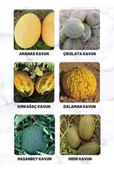TohumGübre 10 Adet Karışık Kavun Tohumu