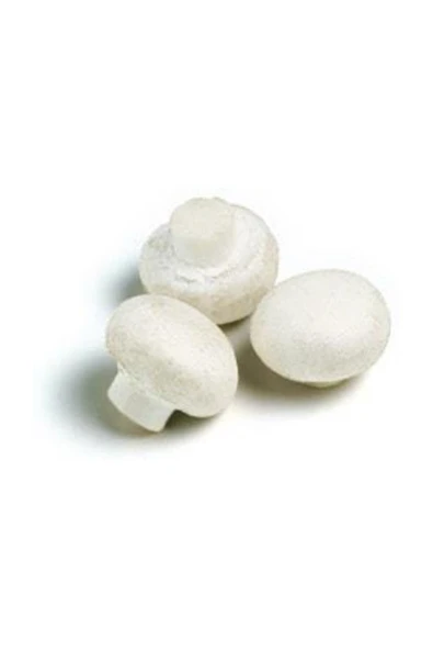 TohumGübre Eğitim Kılavuzu Ve Yönerge Hediyeli 2000 Adet  Beyaz Şapkalı Kültür Mantarı Tohumu - Resim 2