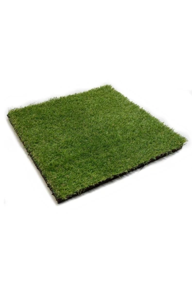 TohumGübre Kedi Çimi Tohumu (ORTALAMA 10.000 ADET) - Resim 4