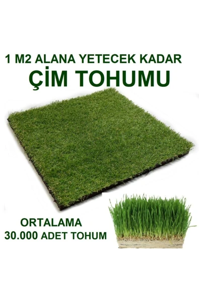 TohumGübre 1 M2 Alana Yetecek Kadar Kümes Hayvanı Yem Çimi Tohumu ( Ortalama 30.000 Adet ) - 2
