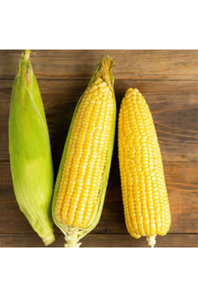 Köy Tohumları 50 Adet Tohum Yumuşak Haşlamalık Süt Mısır Tohumu Darı Tohumu Sürpriz Hediye Tohum - 2