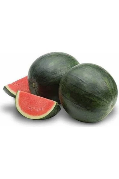 TohumGübre 1200 Adet Köylü Karpuzu Ata Tohumu - Resim 2