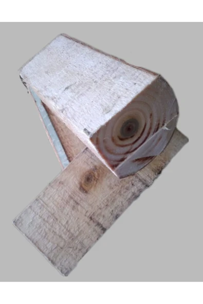 Tarımsal ve Hayvansal Ürünler Kütükte İstiridye Mantarı Deneme Hobi Kiti - Resim 5