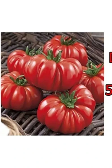 TohumGübre 25 Adet Köylü Domatesi Tohumu - Resim 4