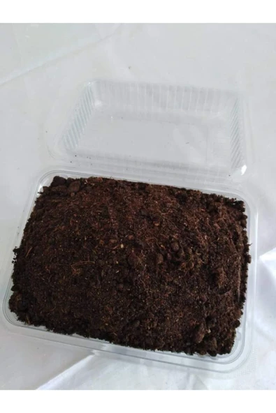 TohumGübre Kültür Mantarı Tohumu, Mantar Ekim Torfu Içinde Hazır Kit Ve Kılavuzu - Resim 2