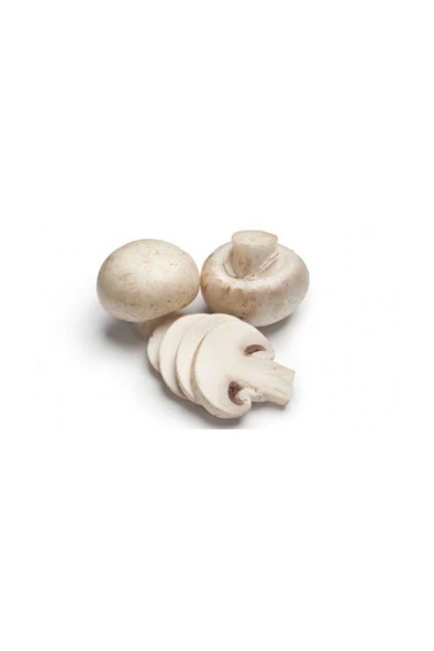 TohumGübre Eğitim Kılavuzu Ve Ekim Poşeti Hediyeli 100 Gr Kültür Mantarı Tohumu - 1