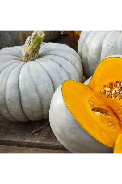 TohumGübre 100 Adet Bal Kabağı Tohumu (çok Büyüyen Lezzetli Kestane Bal Kabağı) - 2
