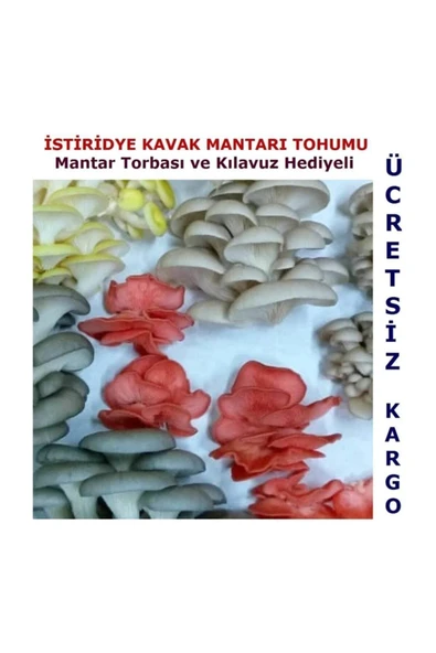 TohumGübre Ekim Torbası Ve Eğitim Kılavuzu Hediyeli 100 Gr Istiridye Mantarı Kompostu - Resim 2