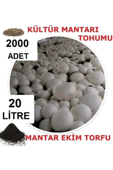 TohumGübre 20 Litre Ekim Torfu Ve 2000 Adet Kültür Mantarı Tohumu Ile Eğitim Kılavuzu