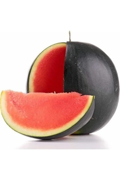 TohumGübre 300 Adet Ata Karpuzu Tohumu - Resim 2