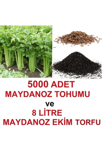 TohumGübre 5000 Adet Geniş Yapraklı Köylü Maydanoz Tohumu Ve 8 Litre Maydanoz Ekim Torfu ürün görseli