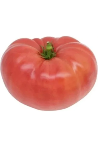 Tarımsal ve Hayvansal Ürünler 25 Adet Karışık Cinste Domates Tohumu - Resim 3