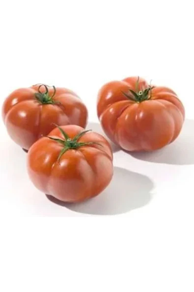 Tarımsal ve Hayvansal Ürünler 25 Adet Karışık Cinste Domates Tohumu - Resim 4
