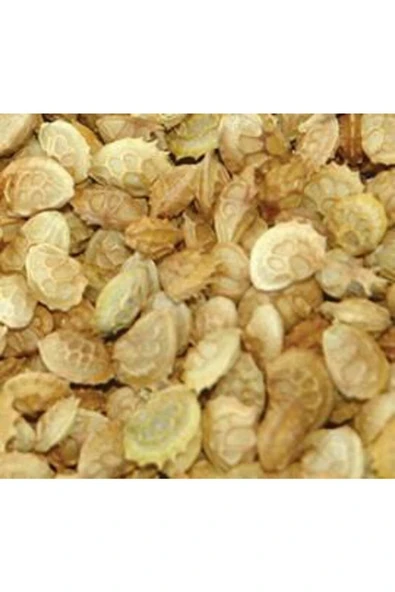 Kaliteli 2000 Adet Korunga Kümes Hayvan Yemi Tohumu - Resim 5