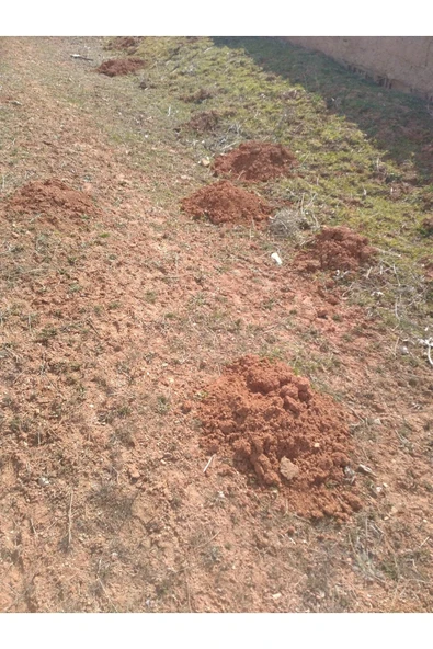 Doğal Kösnü Köstepek Ocağı Toprağı - 4
