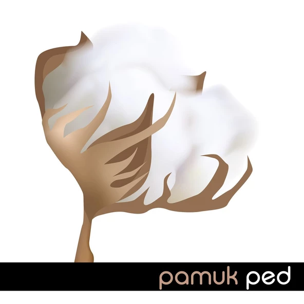 Ladyfit Pamuk Ped Mega Normal 48 Ped - 3