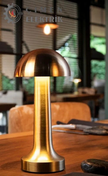 NOAS YL86 1230 Atina Şarjlı Gold Masa Lambası 3 Renk - 3