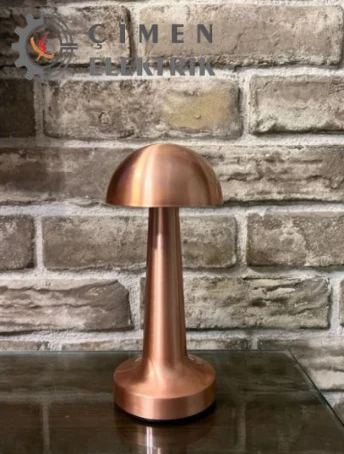 NOAS YL86 1231 Atina Dokunmatik Şarjlı Bronz Masa Lambası 3 Renk - 4