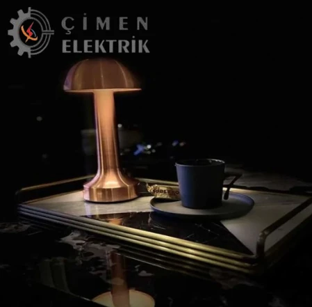 NOAS YL86 1231 Atina Dokunmatik Şarjlı Bronz Masa Lambası 3 Renk - 5