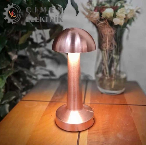 NOAS YL86 1231 Atina Dokunmatik Şarjlı Bronz Masa Lambası 3 Renk - 3