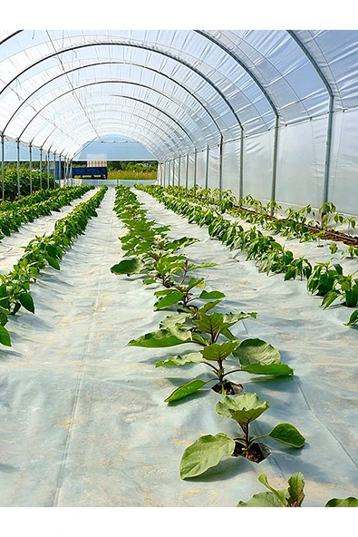 ŞAKİR HIRDAVAT  12x20 Dayanıklı Sera Örtüsü: 140 Mikron, UV ve EVA Katkılı Şeffaf Sera Naylonu - Resim 2