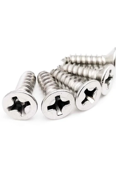 ŞAKİR HIRDAVAT  3,5x20 MM Galvanizli Sunta ve Ağaç Vidası 100 ADET - 3
