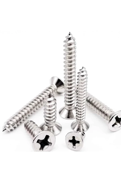 ŞAKİR HIRDAVAT  4x70 MM Galvanizli Sunta ve Ağaç Vidası 100 ADET