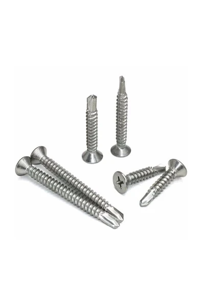 ŞAKİR HIRDAVAT  4,8x60 MM Galvanizli Matkap Uçlu YHB Saç vidası 500 ADET - Resim 2