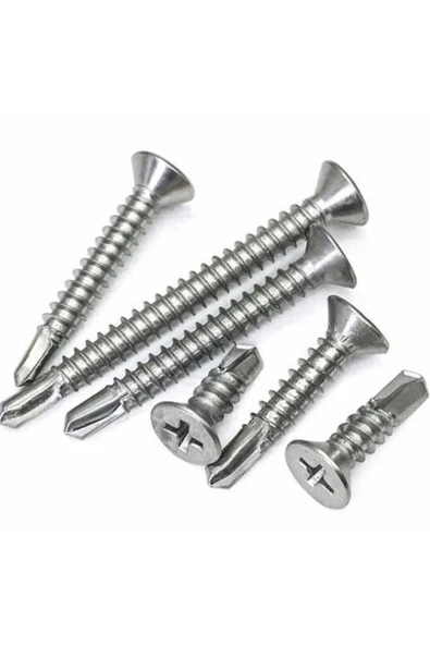 ŞAKİR HIRDAVAT  4,8x50 MM Galvanizli Matkap Uçlu YHB Saç vidası 200 ADET - Resim 3