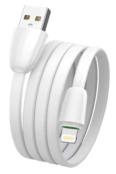 Apple İphone 8 Plus Şarj Kablosu Lightning Yassı ürün görseli 1