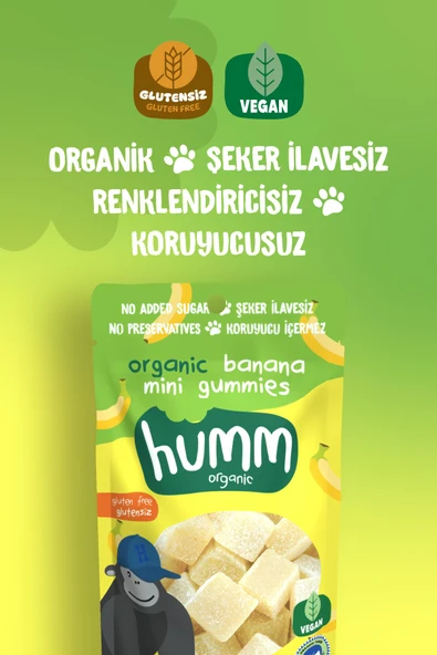 Humm Organic Organik Glutensiz Vegan Muzlu Mini Küpler - 30g - 2