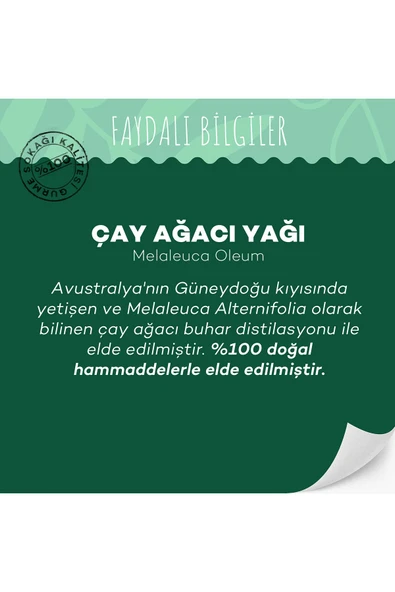 GURME SOKAĞI Çay Ağacı Yağı 10 ml - 3