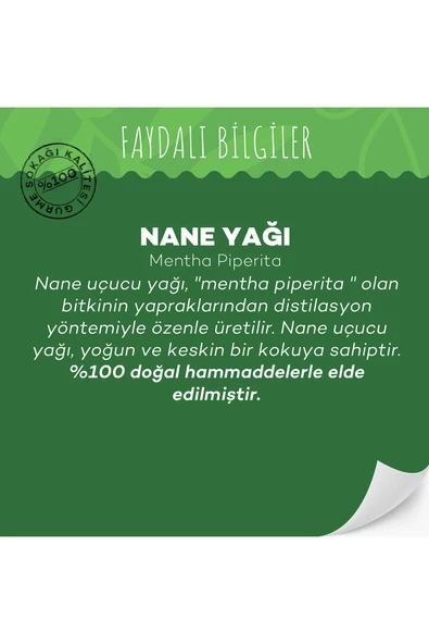 GURME SOKAĞI Nane Yağı 10 ml - 3